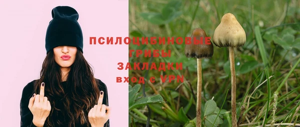 ГАЛЛЮЦИНОГЕННЫЕ ГРИБЫ Алексин