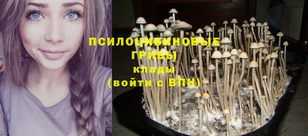 спиды Переславль-Залесский
