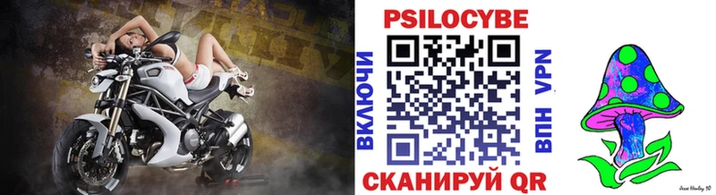 Псилоцибиновые грибы Cubensis  купить наркоту  Краснознаменск 