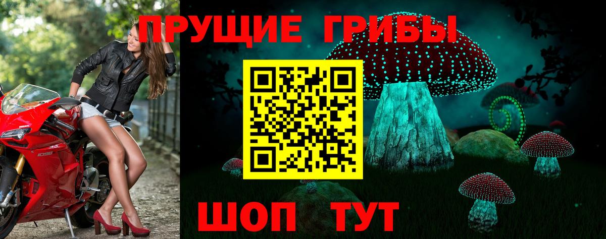 Псилоцибиновые грибы ЛСД  Вход с VPN  Галлюциногенные грибы MAGIC MUSHROOMS  Краснознаменск 