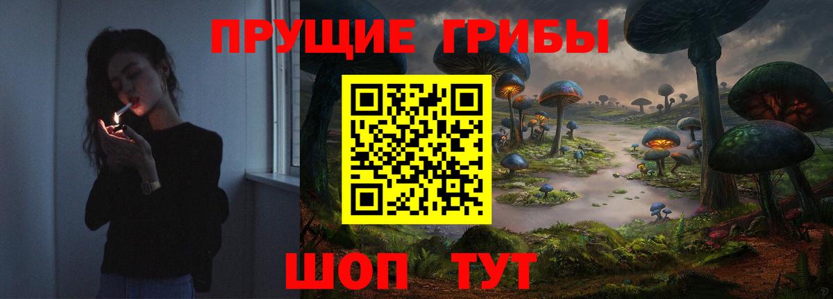 Псилоцибиновые грибы Psilocybine cubensis Краснознаменск